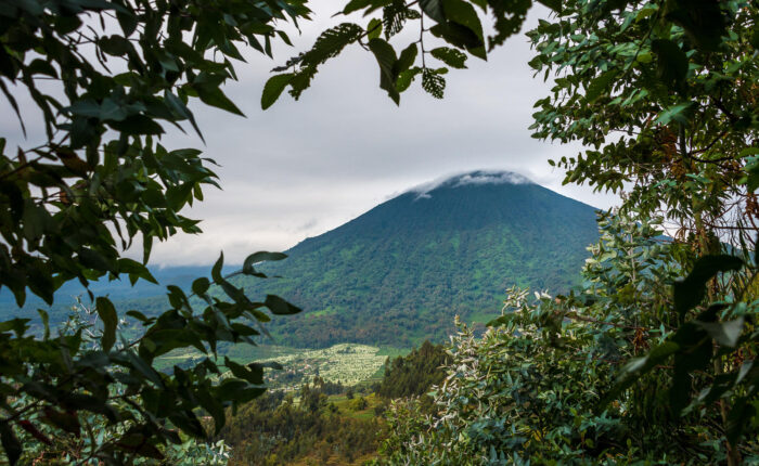 Bisoke and Sabyinyo volcano climbing or hiking